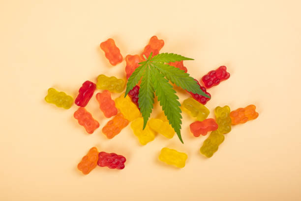 Find Out Why CBD Gummies Are a Popular Wellness Trend